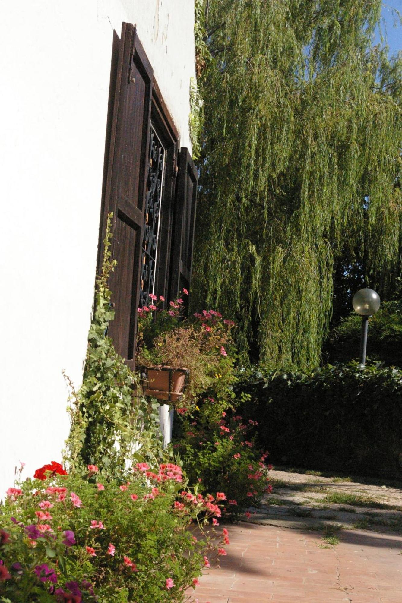 B&B Villa Sans Souci Civitavecchia Extérieur photo