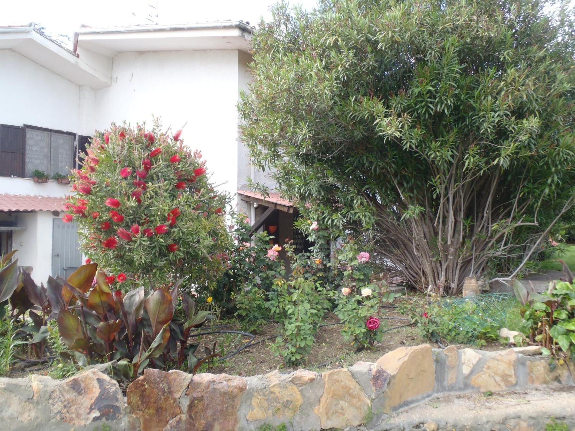 B&B Villa Sans Souci Civitavecchia Extérieur photo