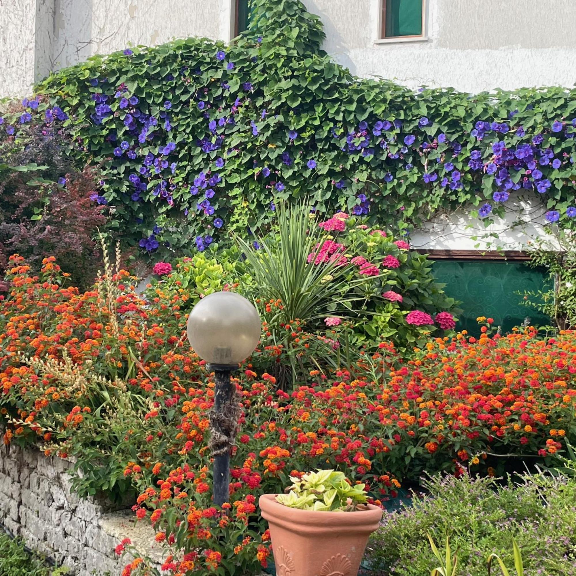 B&B Villa Sans Souci Civitavecchia Extérieur photo