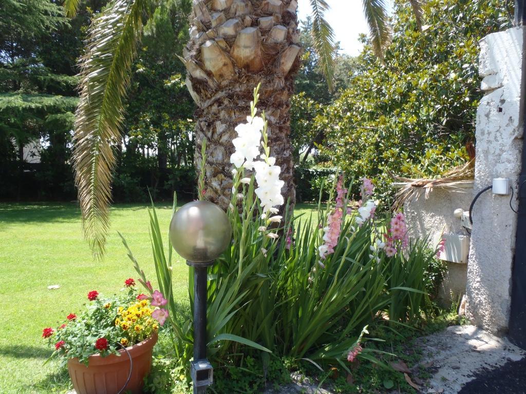 B&B Villa Sans Souci Civitavecchia Extérieur photo