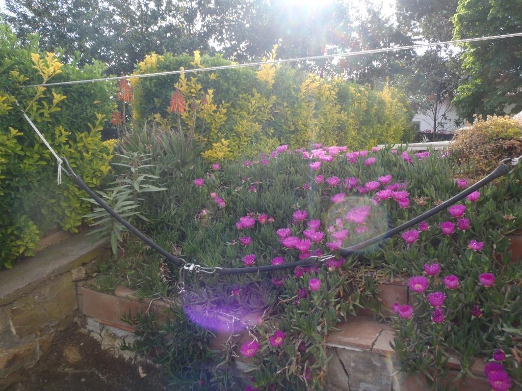 B&B Villa Sans Souci Civitavecchia Extérieur photo