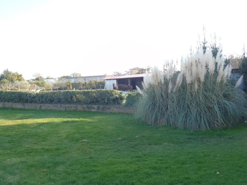 B&B Villa Sans Souci Civitavecchia Extérieur photo