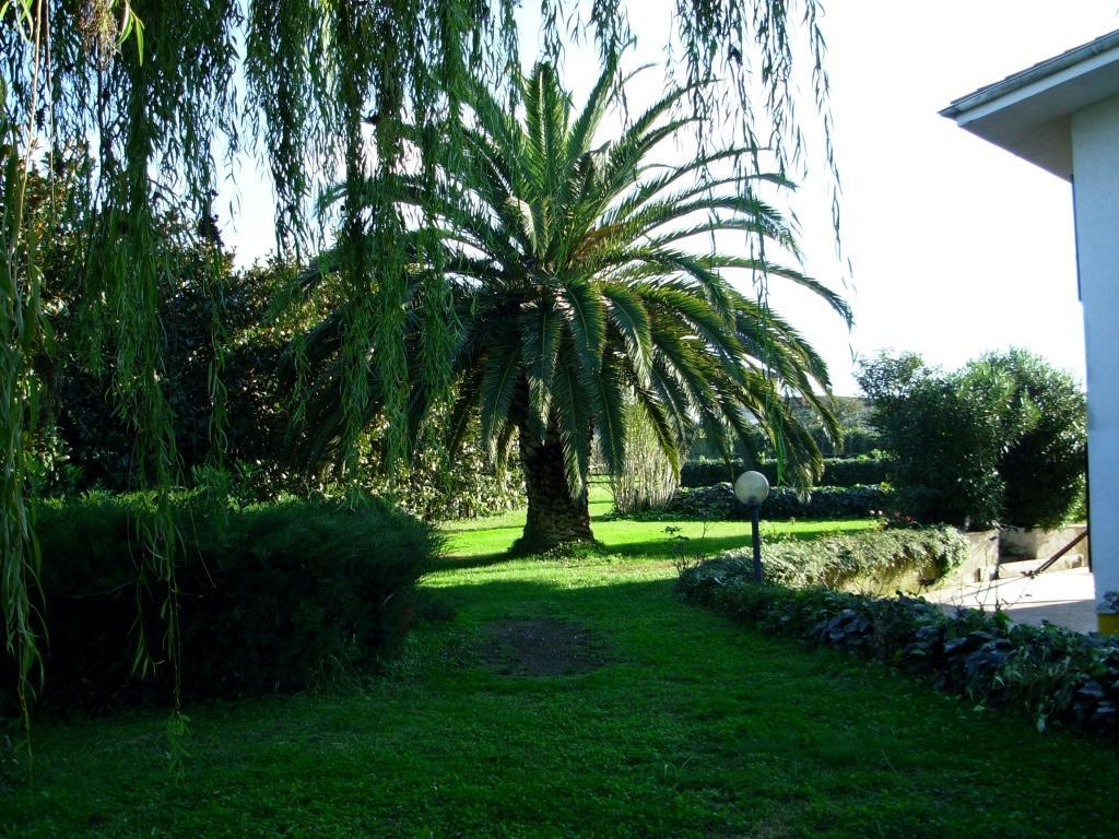 B&B Villa Sans Souci Civitavecchia Extérieur photo