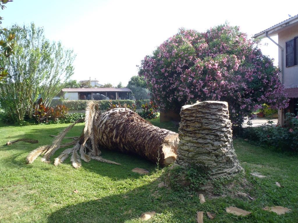 B&B Villa Sans Souci Civitavecchia Extérieur photo